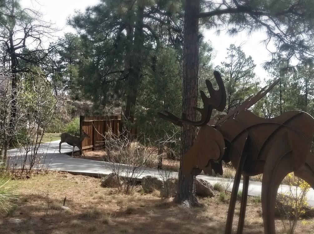 Pueblo Canyon Inn 로스알라모스 외부 사진